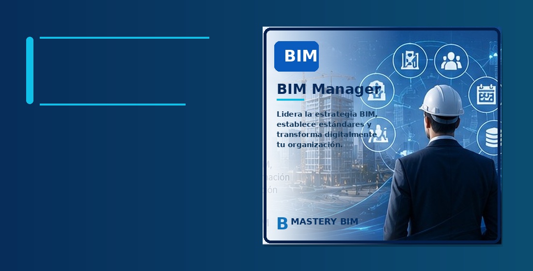 BIM Manager